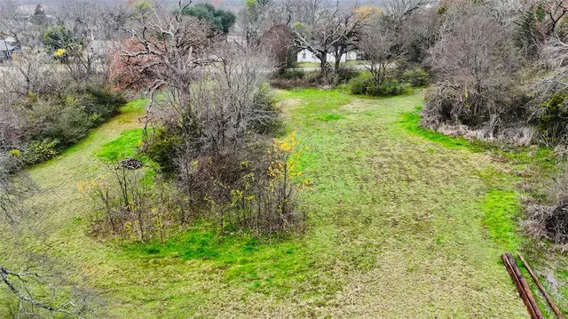 a lush green forest with lots of trees