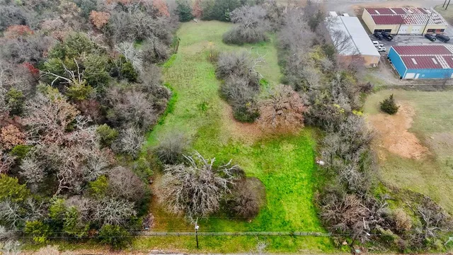 a view of a yard with plants