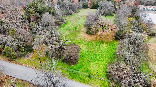 a view of a yard with plants and large trees