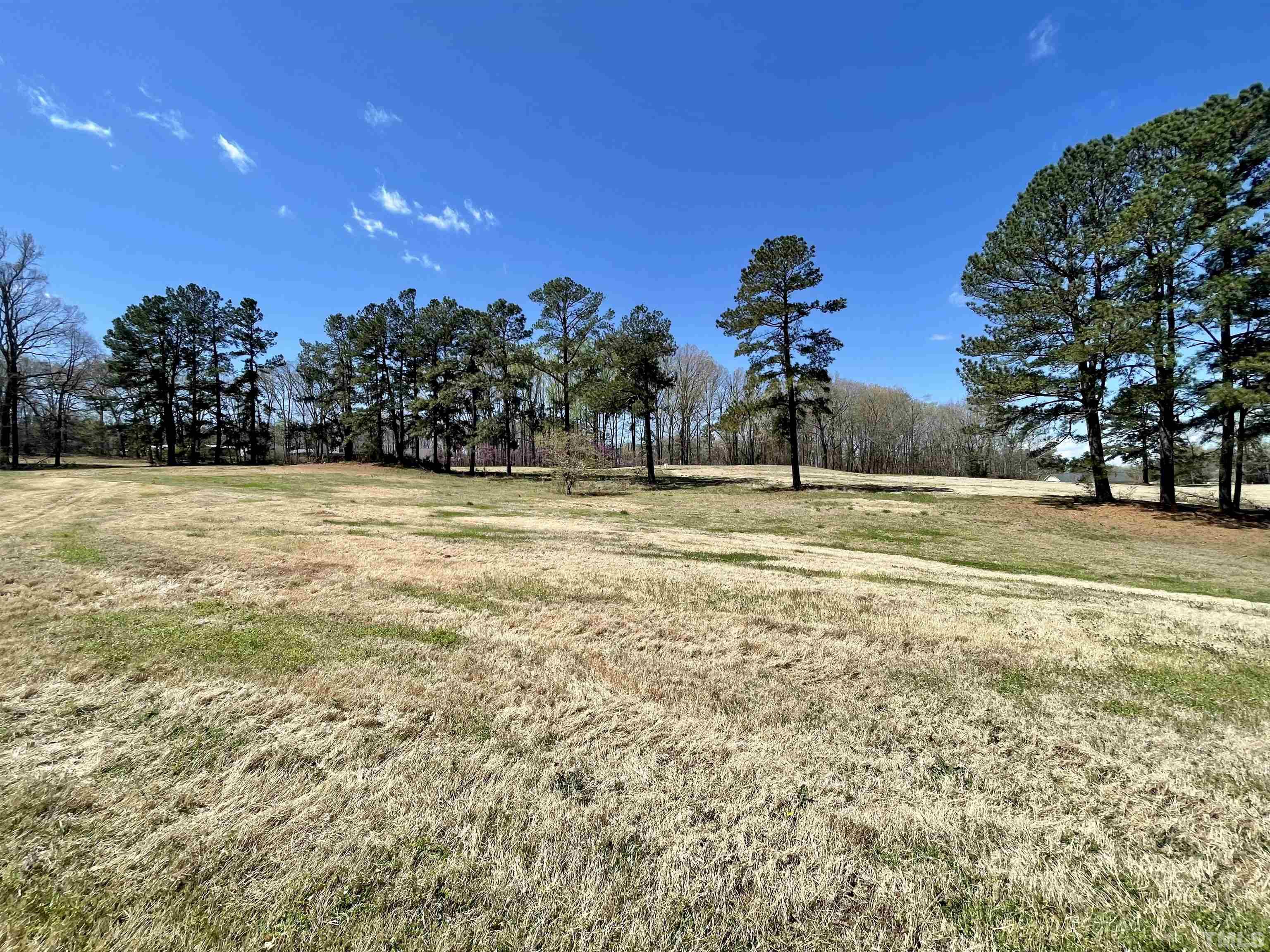 Lot 3 Club House Road Roxboro, NC 27574 - Photo 1 of 9 Gallery Image 1