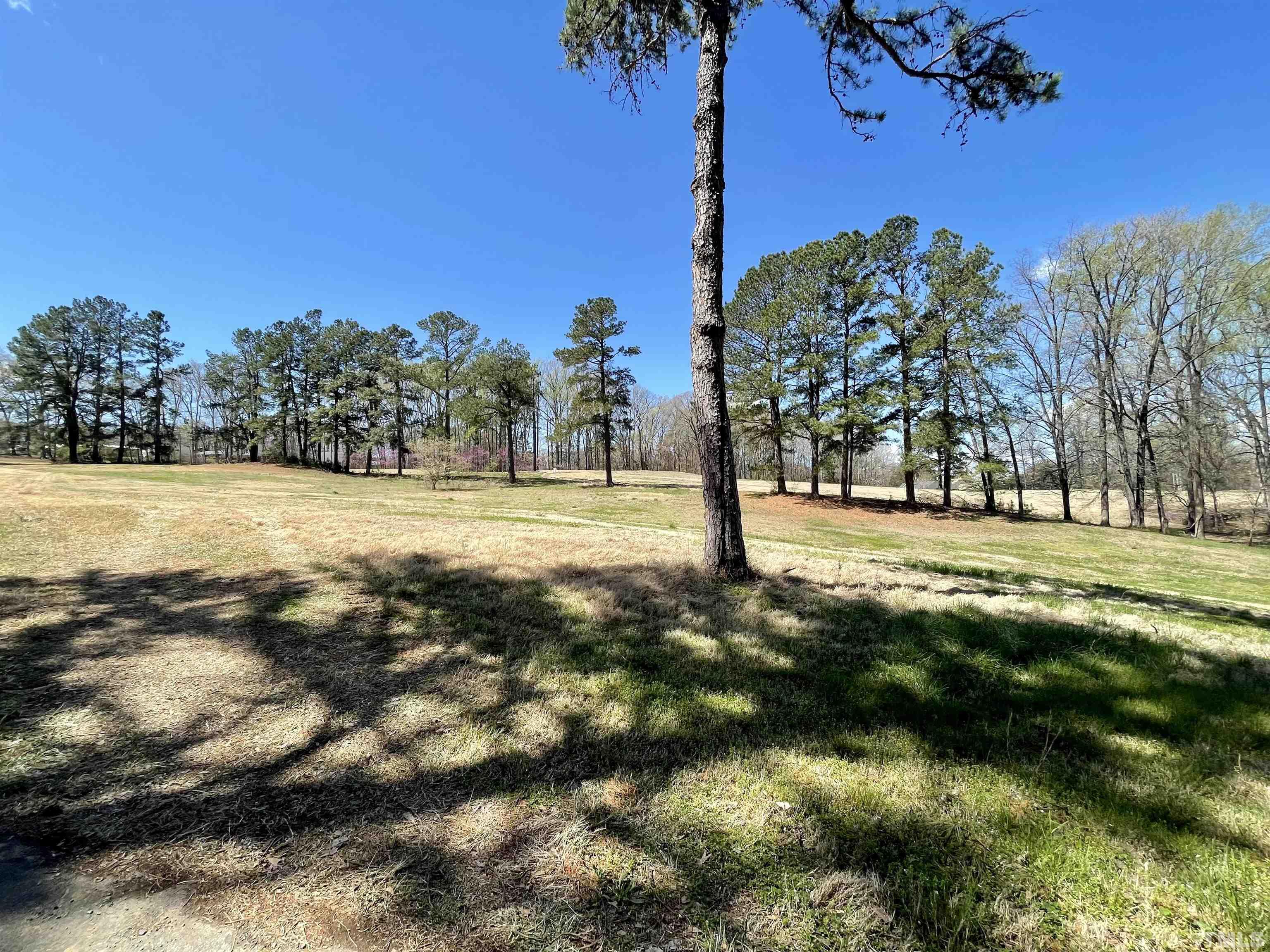 Lot 3 Club House Road Roxboro, NC 27574 - Photo 4 of 9 Gallery Image 4