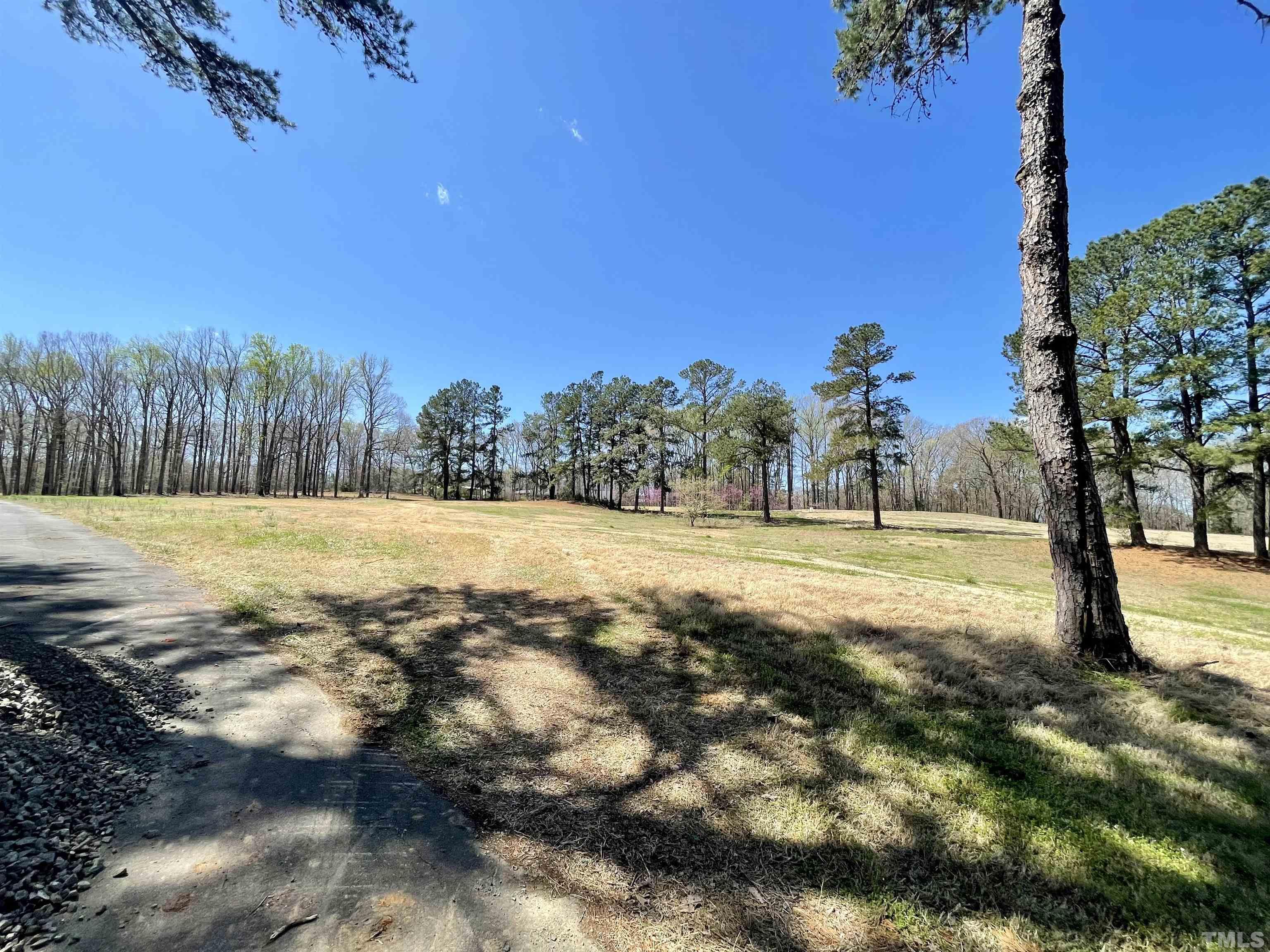 Lot 3 Club House Road Roxboro, NC 27574 - Photo 5 of 9 Gallery Image 5