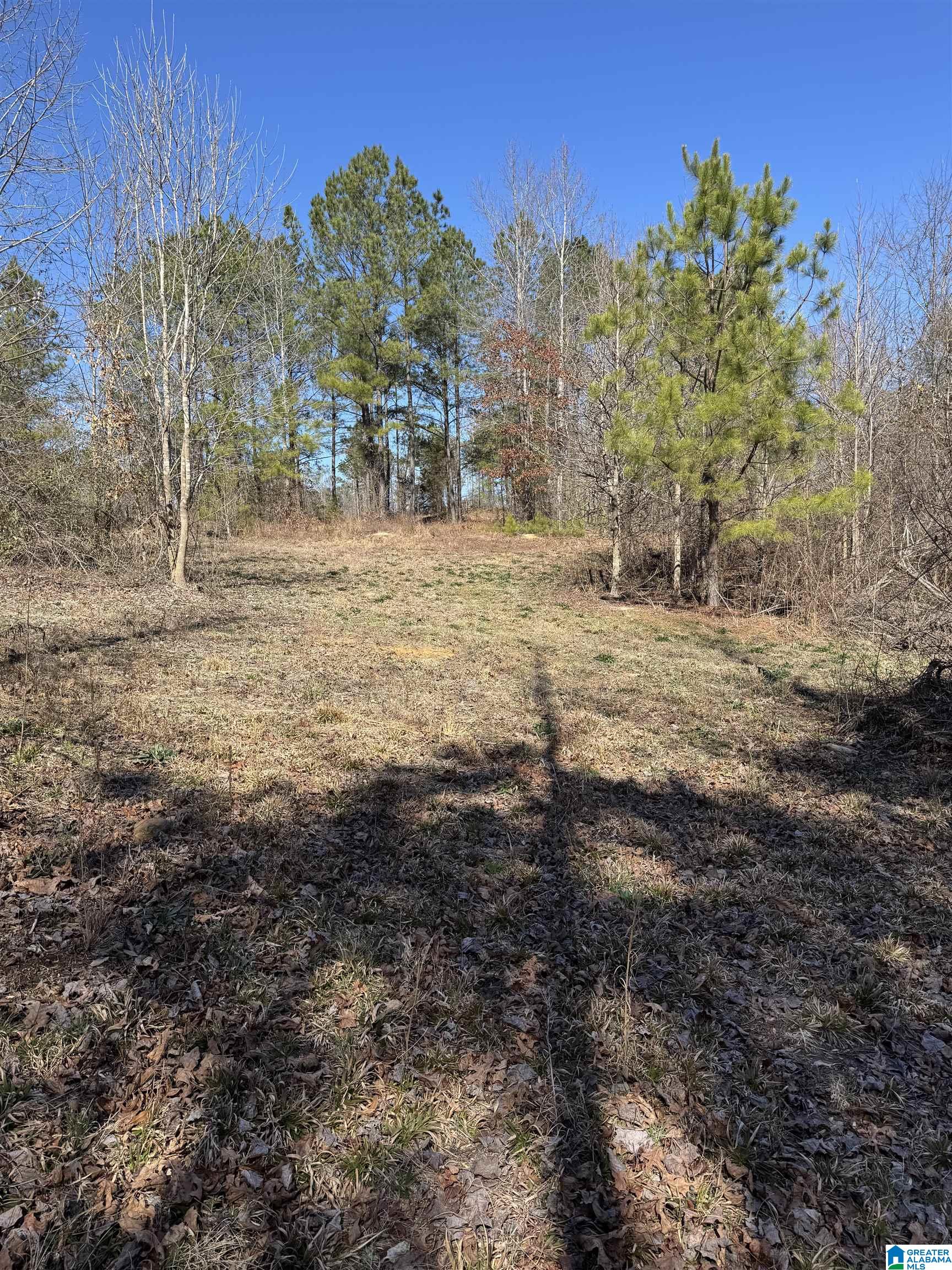 19075 Westside Road, Unit 5 Brookwood, AL 35444 - Photo 1 of 21