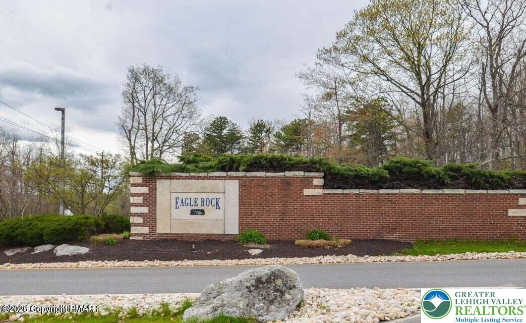a view of a street with a large tree