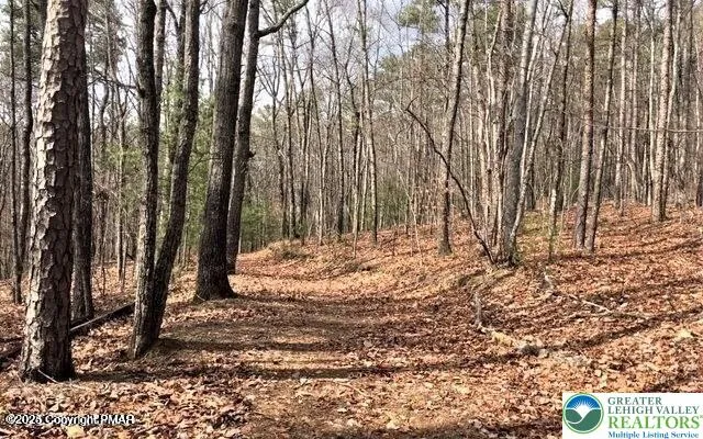 a view of a tree with a yard