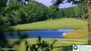 a view of a yard with an ocean