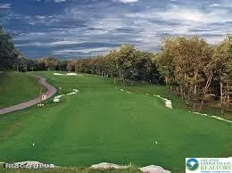 a view of a golf course with a lake