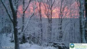 399 Mountain View Drive Hazleton, PA 18202 - Photo 10 of 11 a backyard of a house with lots of trees