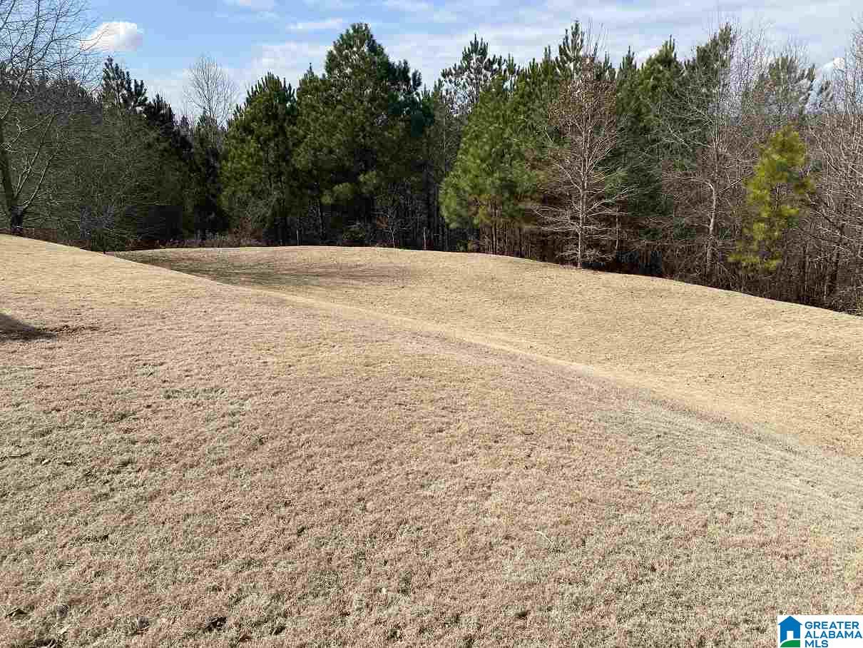 287 Hidden Ridge Drive Odenville, AL 35120 - Photo 9 of 28