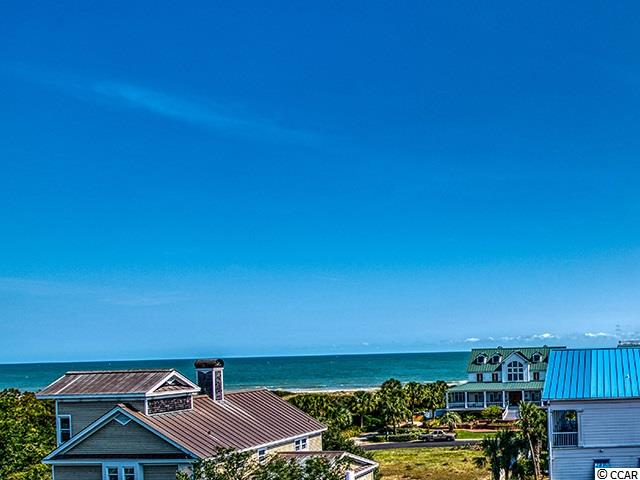 53 Beachwalker Court Georgetown, SC 29440 - Photo 39 of 40 Gallery Image 39