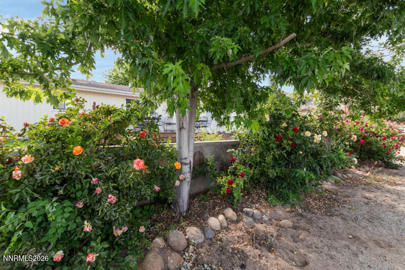 15 Connie Way Reno, NV 89521 - Photo 30 of 32 15 Connie Way (25 of 39)