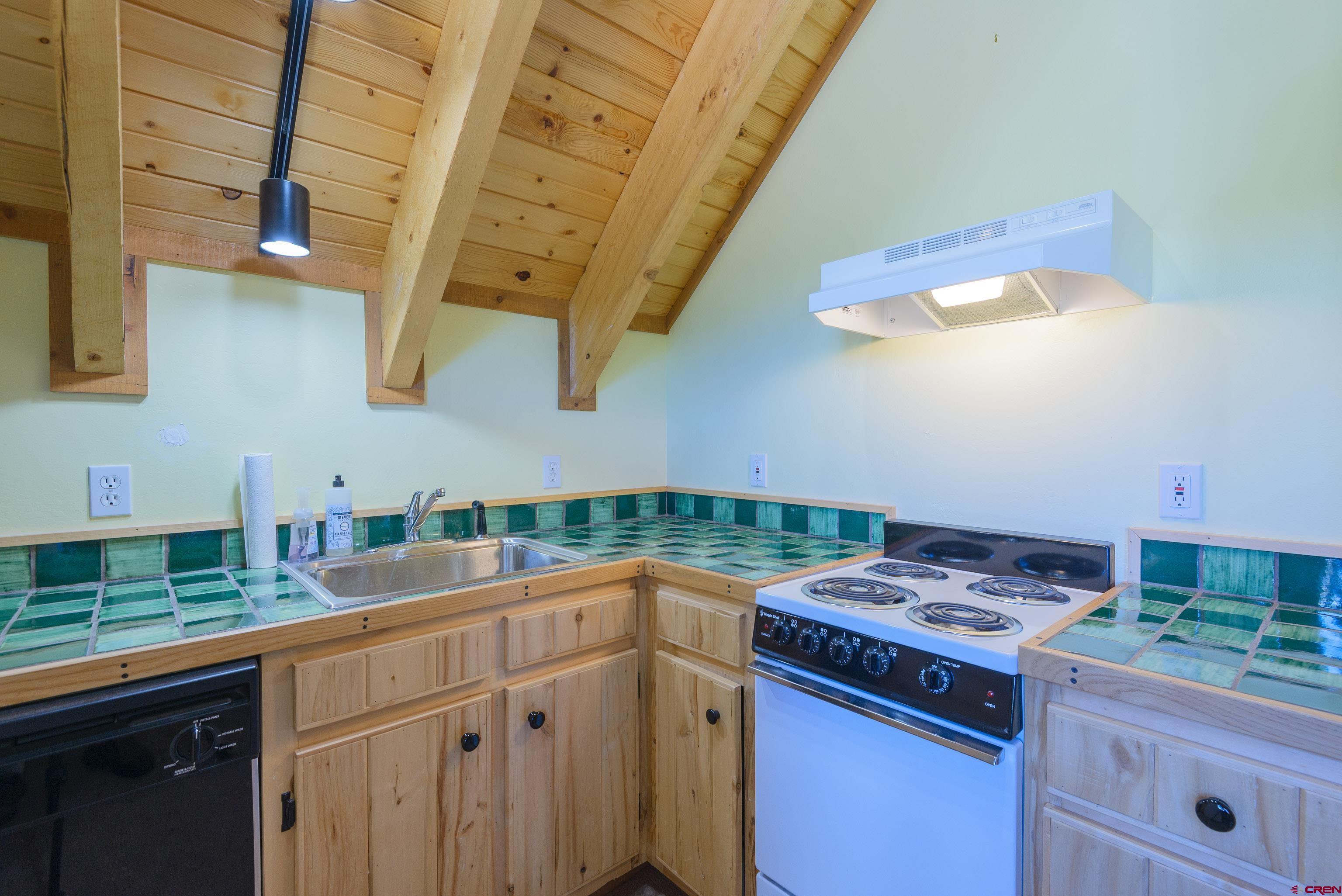 1250 County Road 734 Crested Butte, CO 81224 - Photo 24 of 45 a kitchen with a stove and a sink