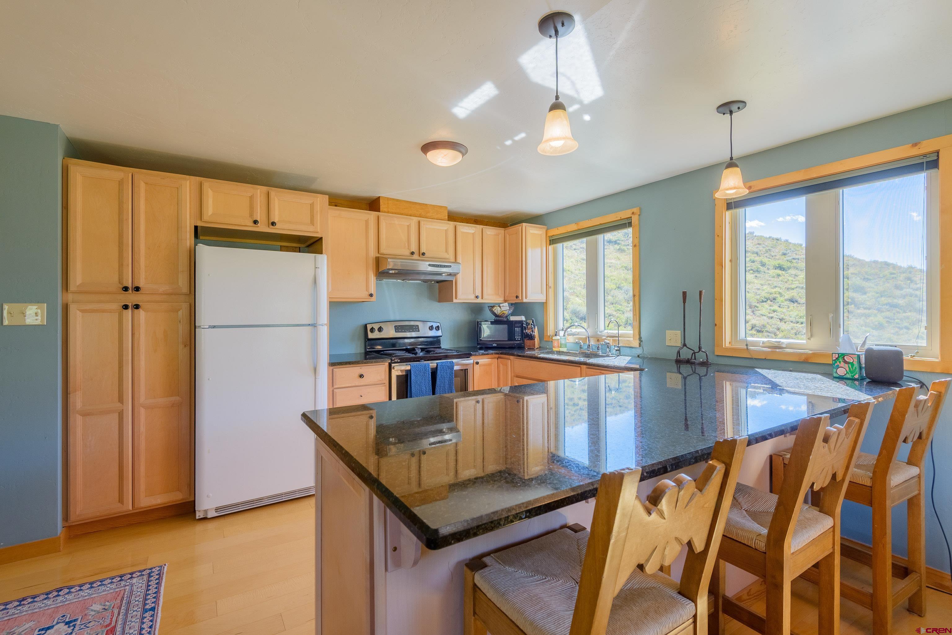 1250 County Road 734 Crested Butte, CO 81224 - Photo 39 of 45 a kitchen with stainless steel appliances granite countertop sink refrigerator and window