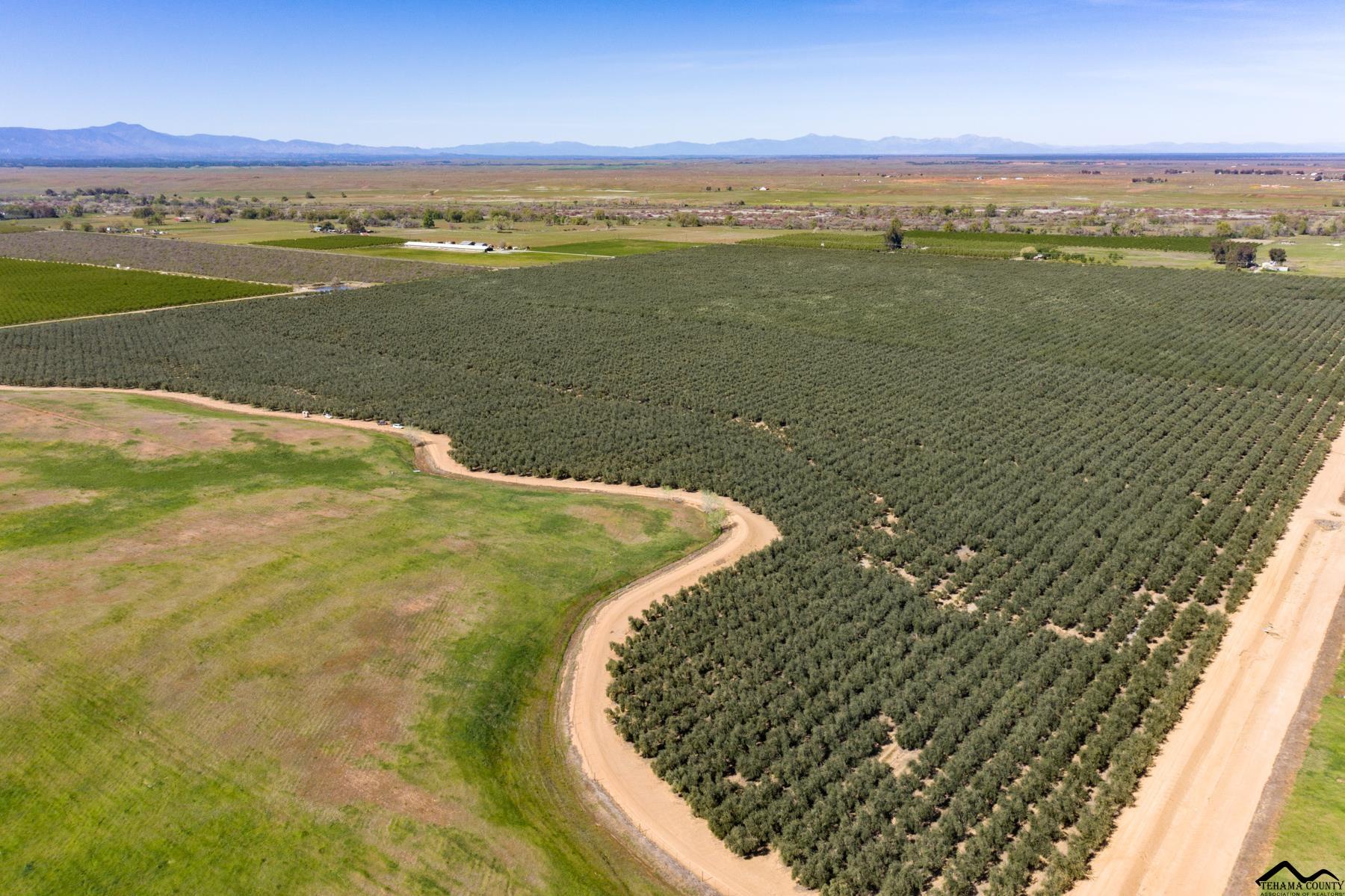 6315 Rawson Road Corning, CA 96021 - Photo 9 of 31