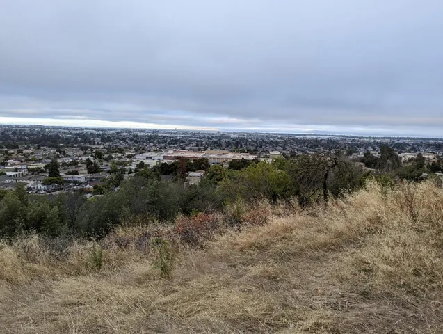 a view of a lake with a city