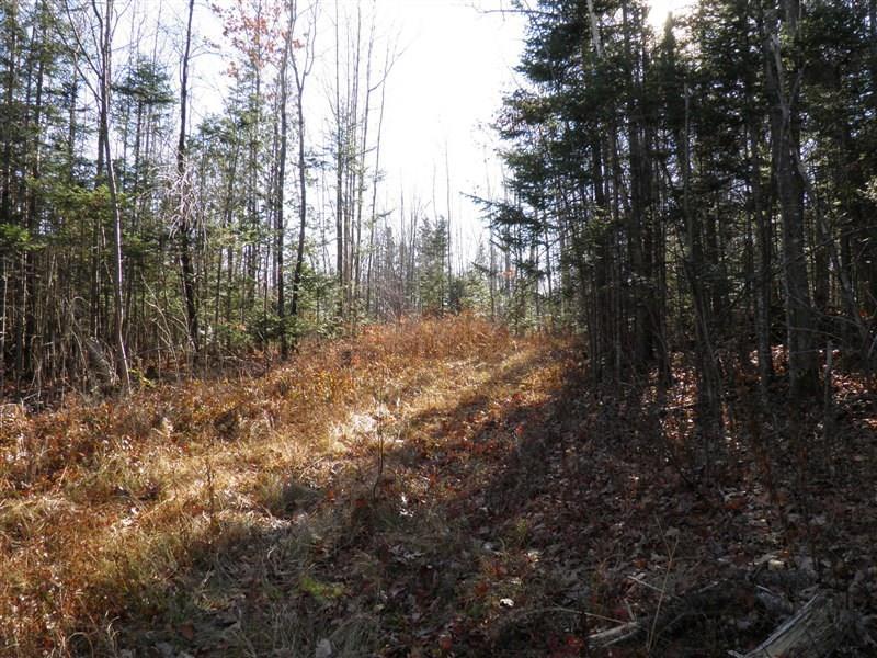 1200 Soule Road Phillips, ME 04966 - Photo 19 of 25 Photo