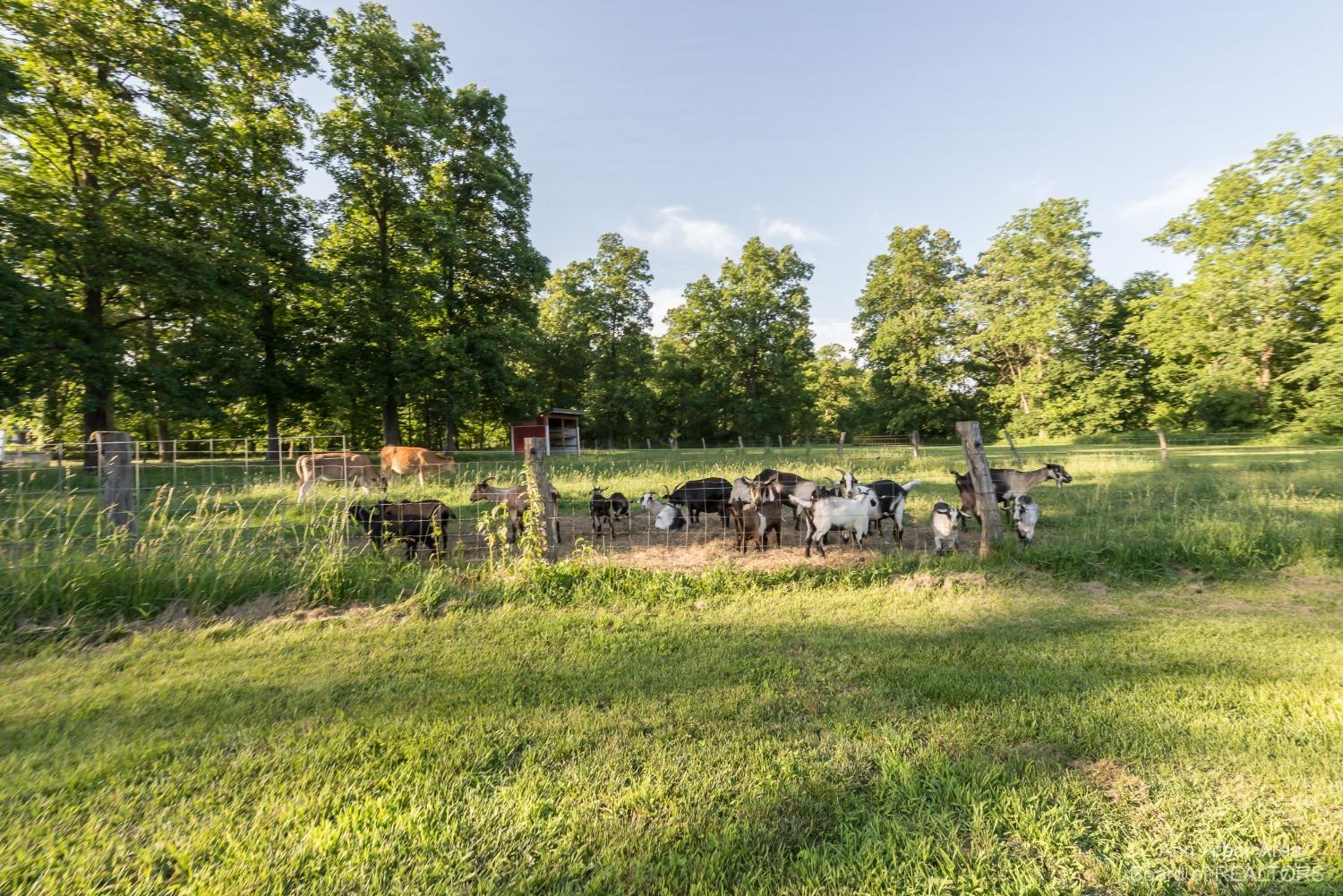 2954 North Dancer Road Dexter, MI 48130 - Photo 66 of 80 Photo 66
