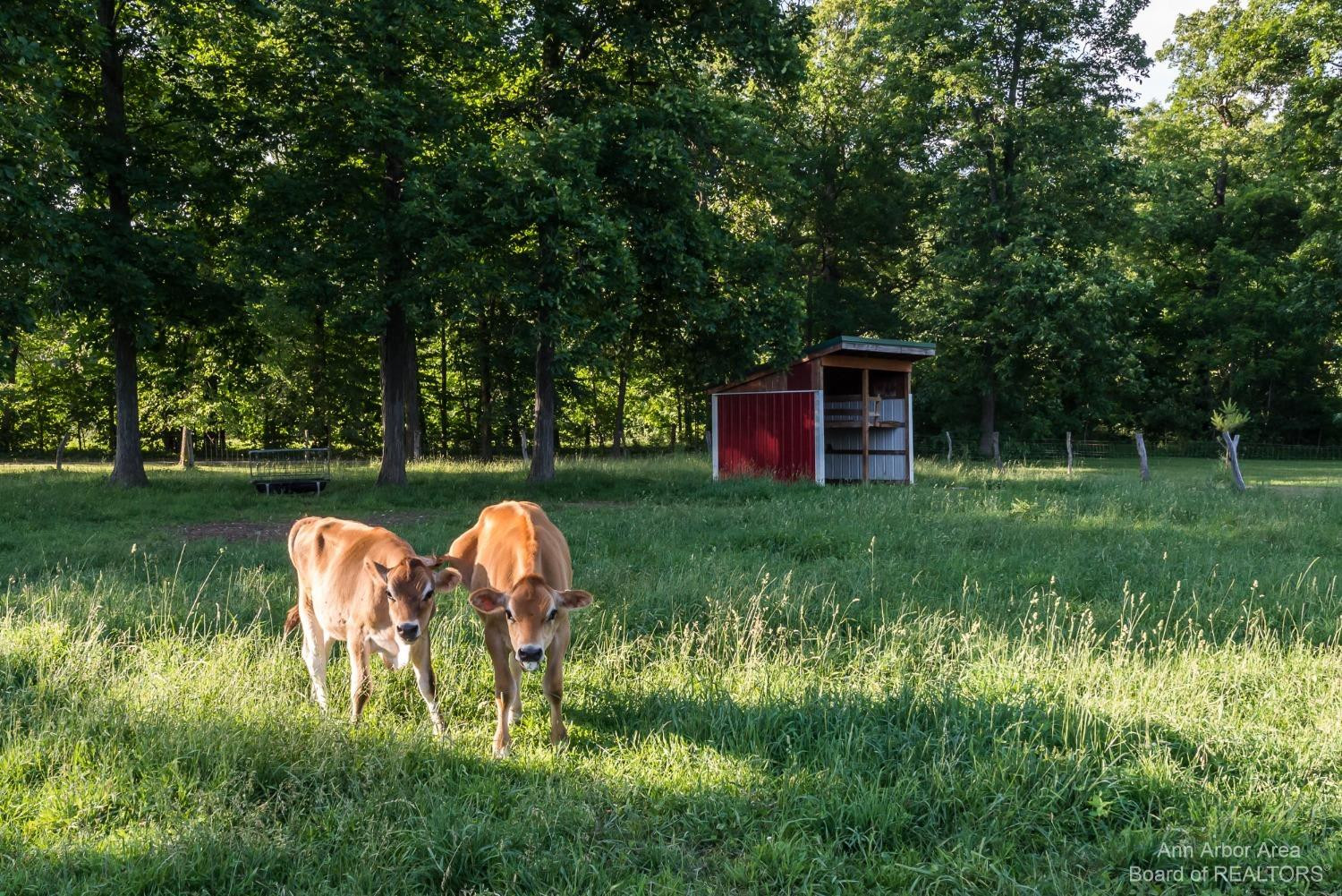 2954 North Dancer Road Dexter, MI 48130 - Photo 67 of 80 Photo 67
