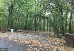 a backyard of a house with lots of trees