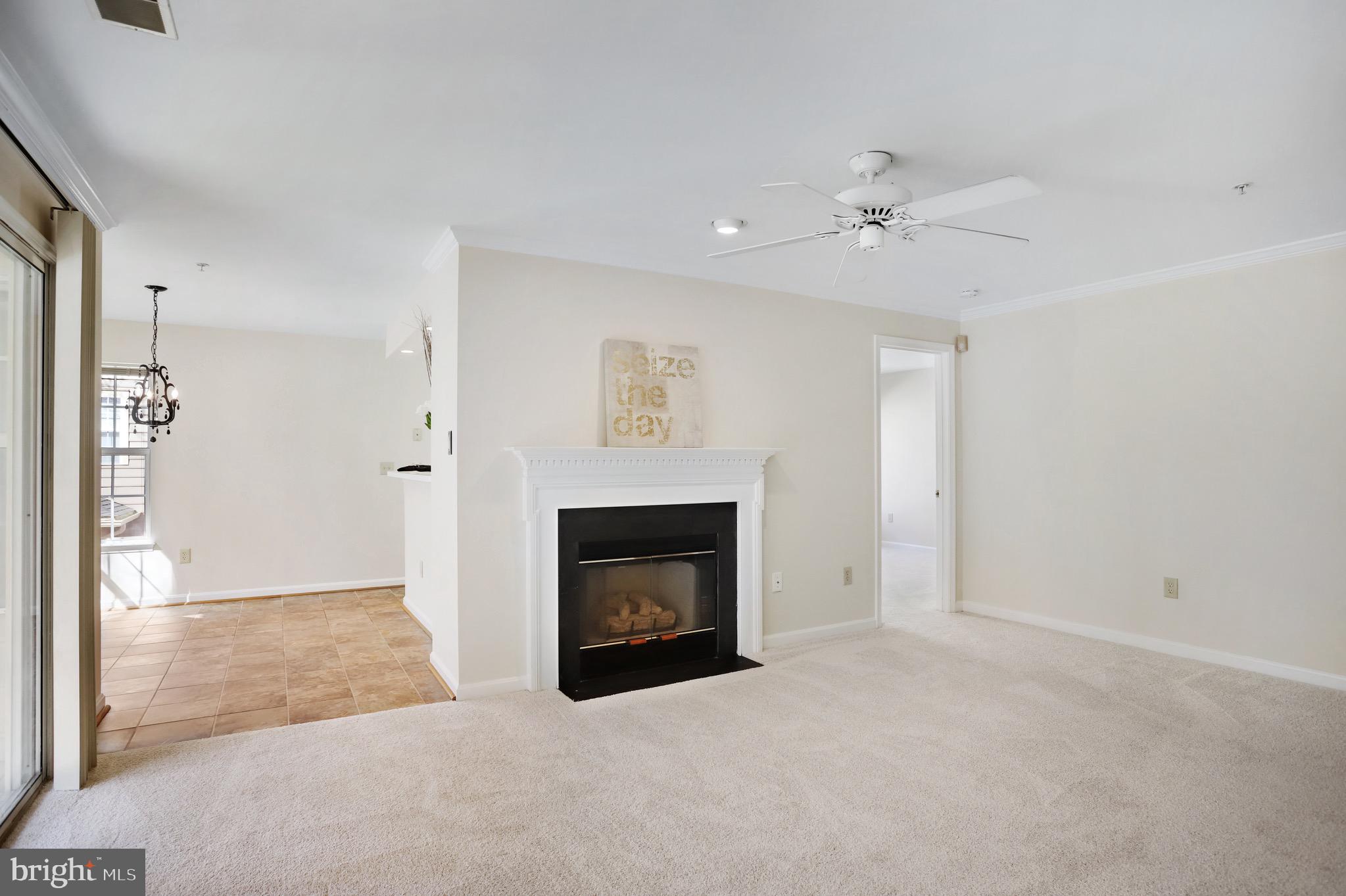 111 Timberbrook Lane, Unit 201 Gaithersburg, MD 20878 - Photo 10 of 38 a view of an empty room with a fireplace