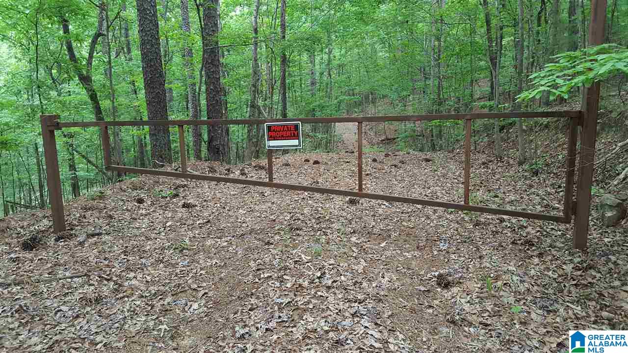 11-acres Deer Run Road, Unit 148330000001 010 Alabaster, AL 35007 - Photo 7 of 34