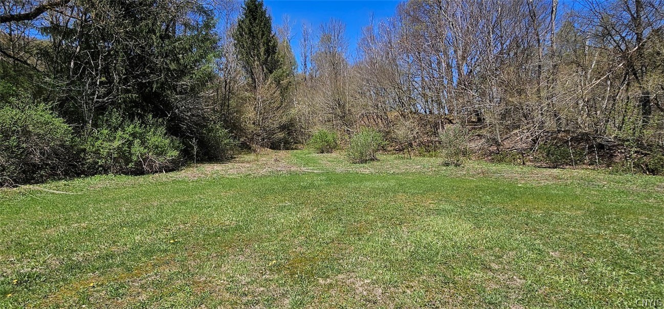 1720 County Route 12 De Ruyter, NY 13052 - Photo 41 of 49