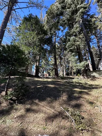 $26,500 | 742 West Victoria Court, Lake Arrowhead, CA 92352