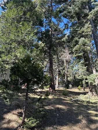 $26,500 | 742 West Victoria Court, Lake Arrowhead, CA 92352