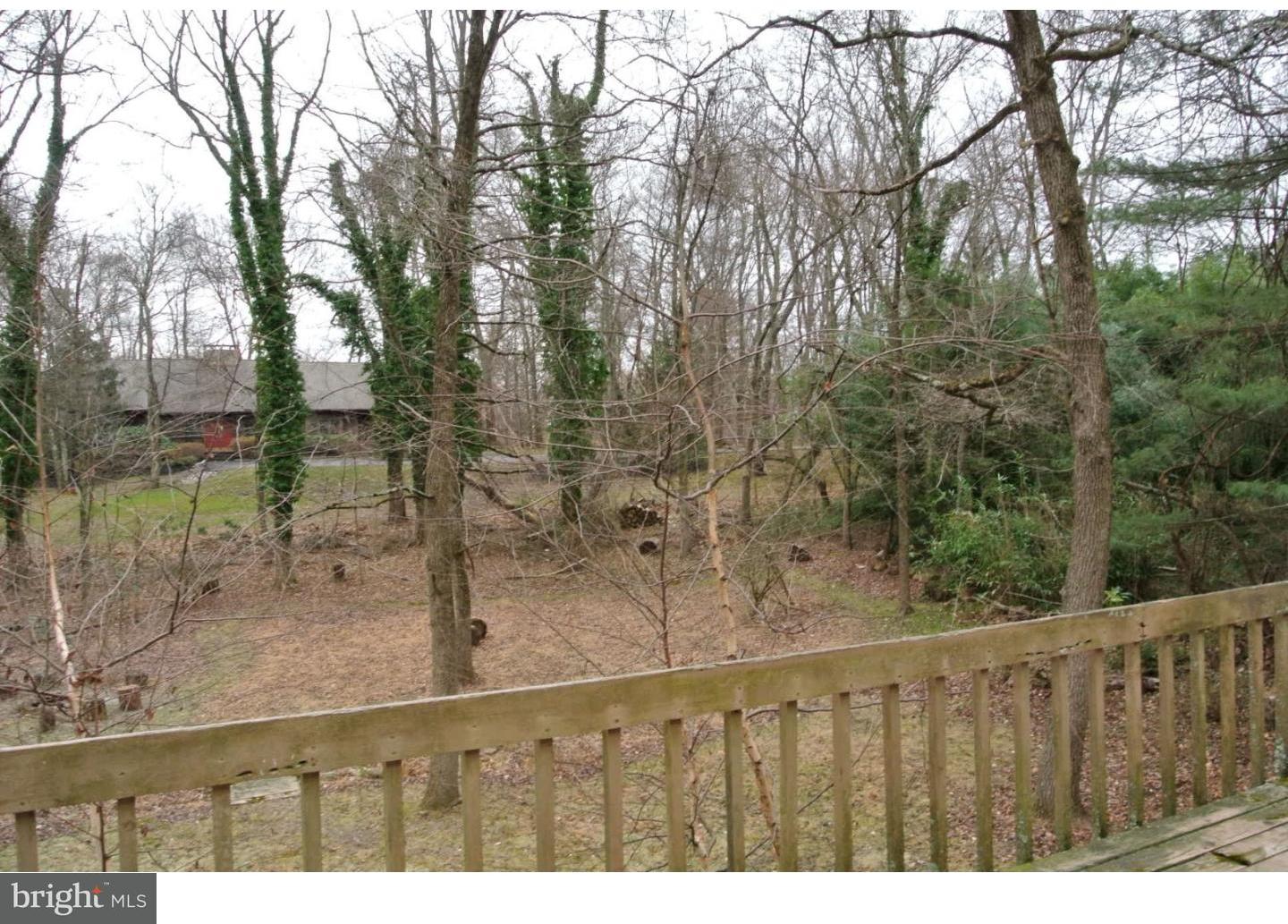 65 Tower Hill Road Doylestown, PA 18901 - Photo 4 of 8 Back Yard