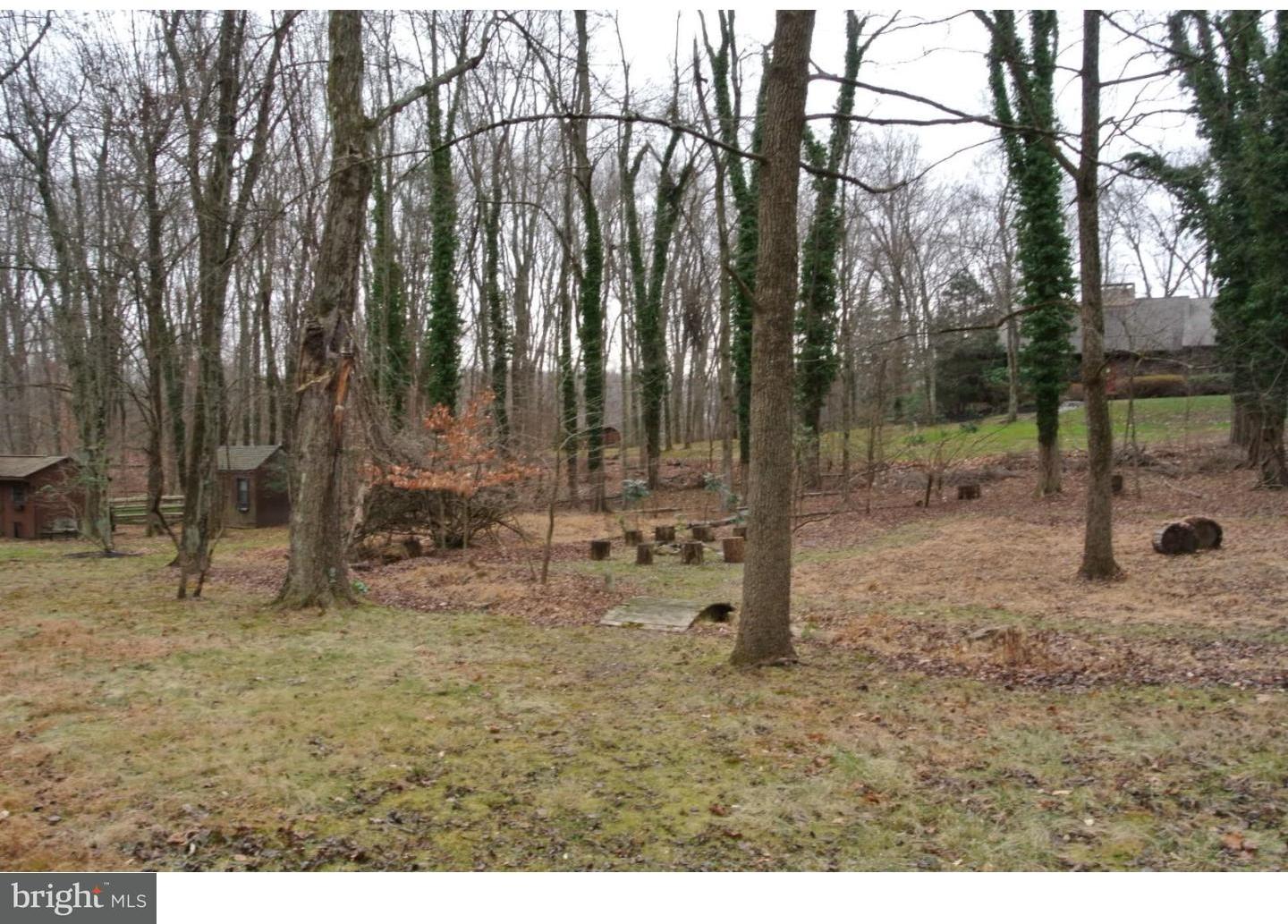 65 Tower Hill Road Doylestown, PA 18901 - Photo 5 of 8 Back Yard