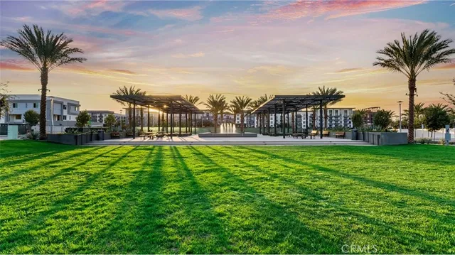 a view of a yard with a palm tree