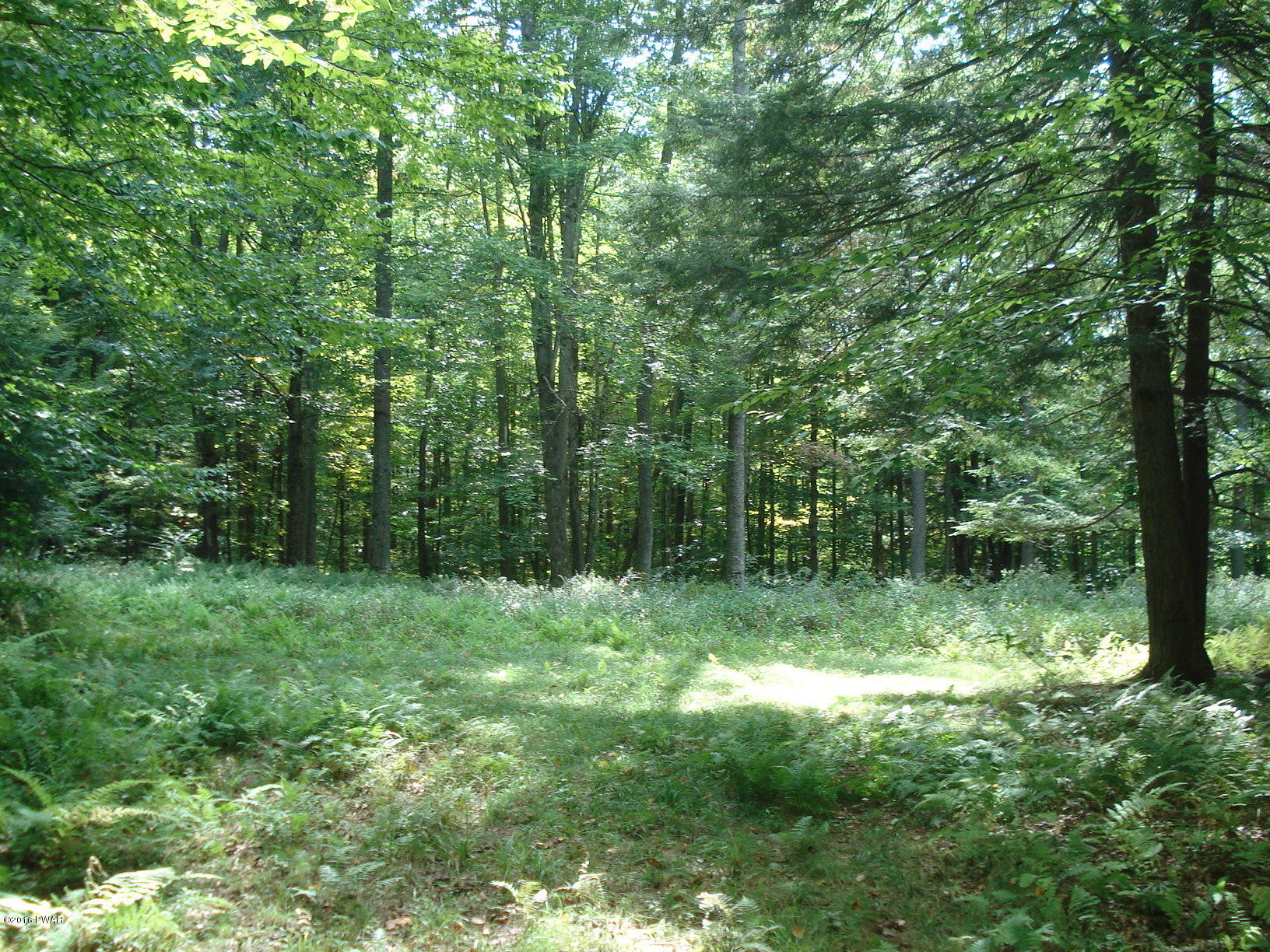Rd Road Hancock, NY 13783 - Photo 6 of 8
