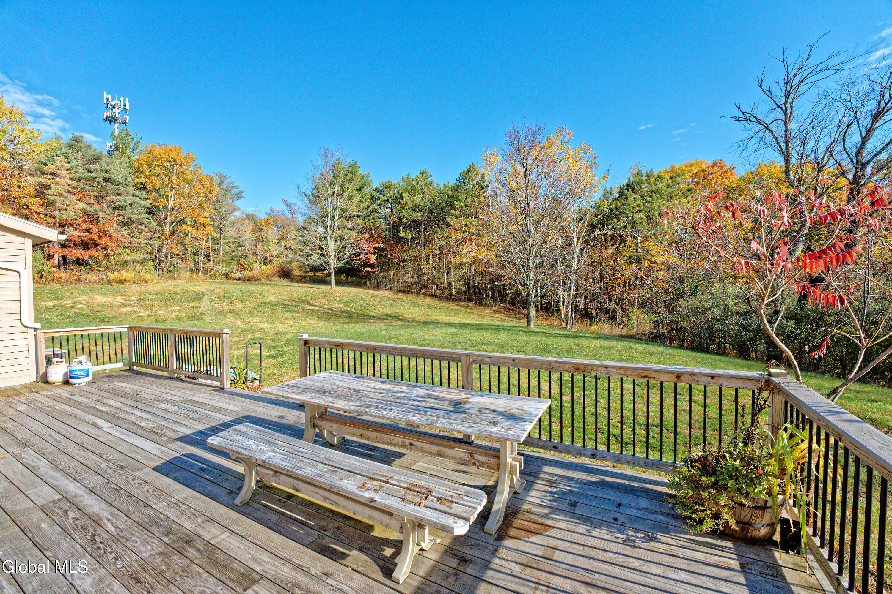 1243 Waters Road Glenville, NY 12302 - Photo 49 of 71 Yard 4