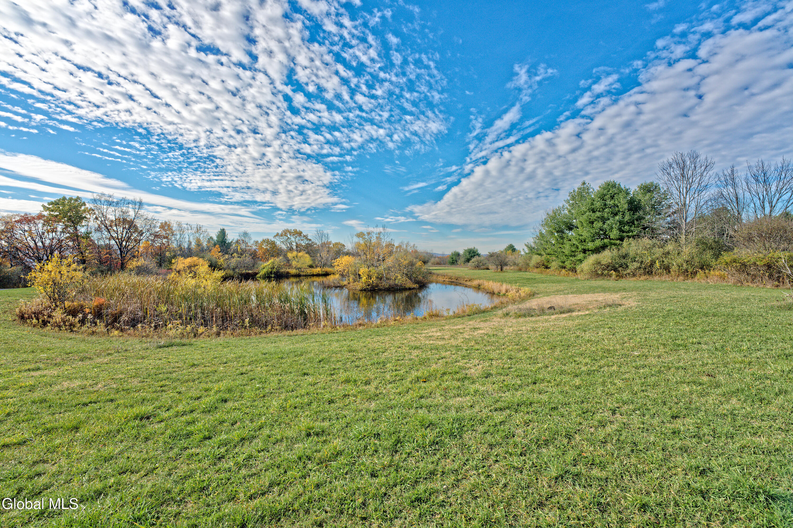 1243 Waters Road Glenville, NY 12302 - Photo 56 of 71 Yard 12