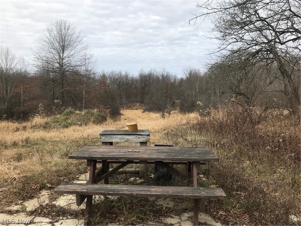8200 Gibson Road Canfield, OH 44406 - Photo 17 of 19 Gun Range is already set up and is shooting is down hill into mound of dirt for safety.