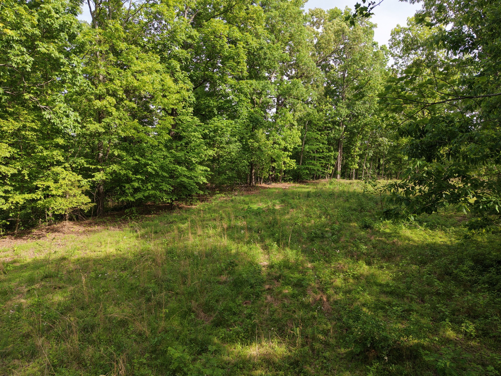 0 Bethel Road Prospect, TN 38477 - Photo 9 of 29 Gallery Image 9