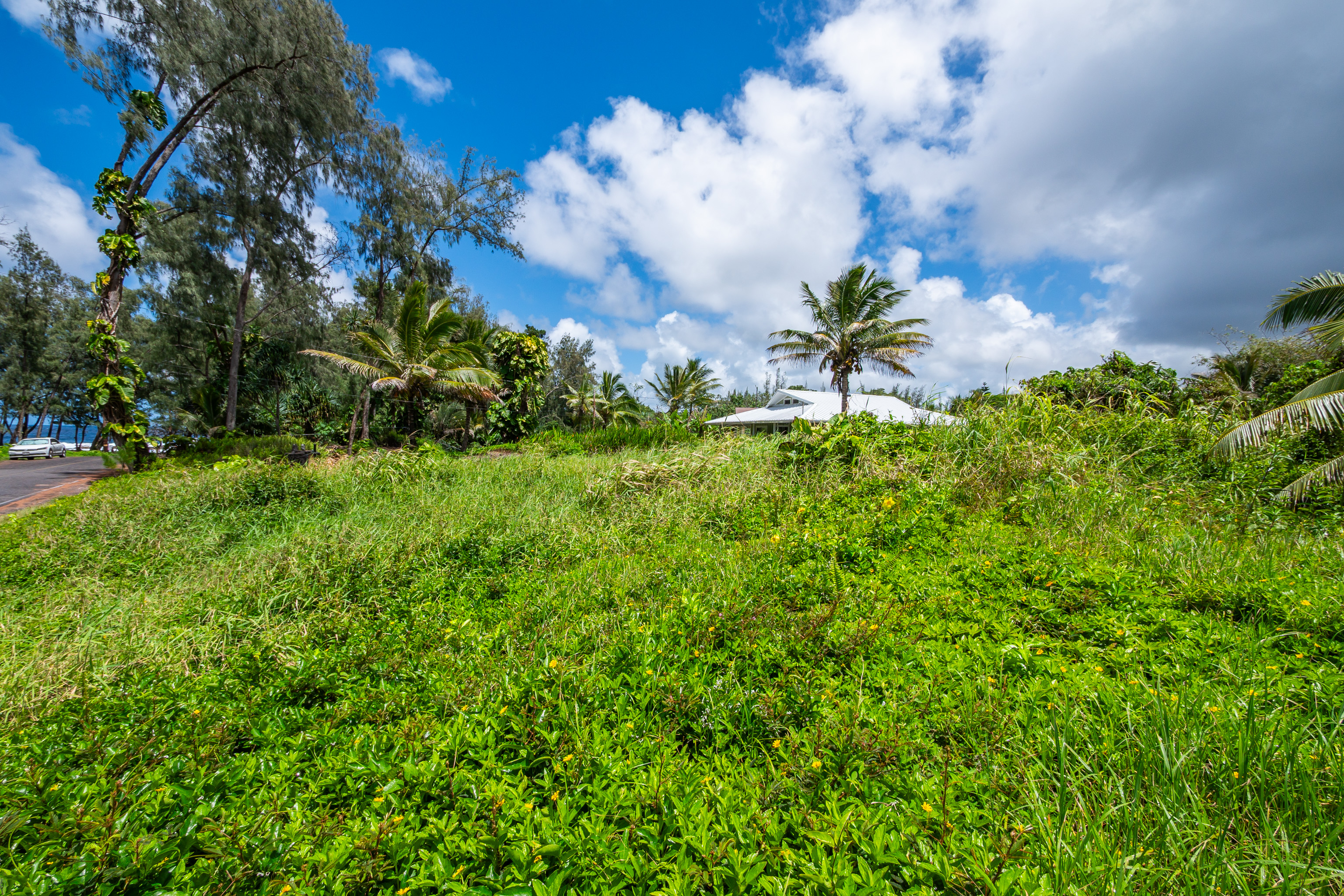84 Ala Heiau Road Keaau, HI 96749 - Photo 17 of 27