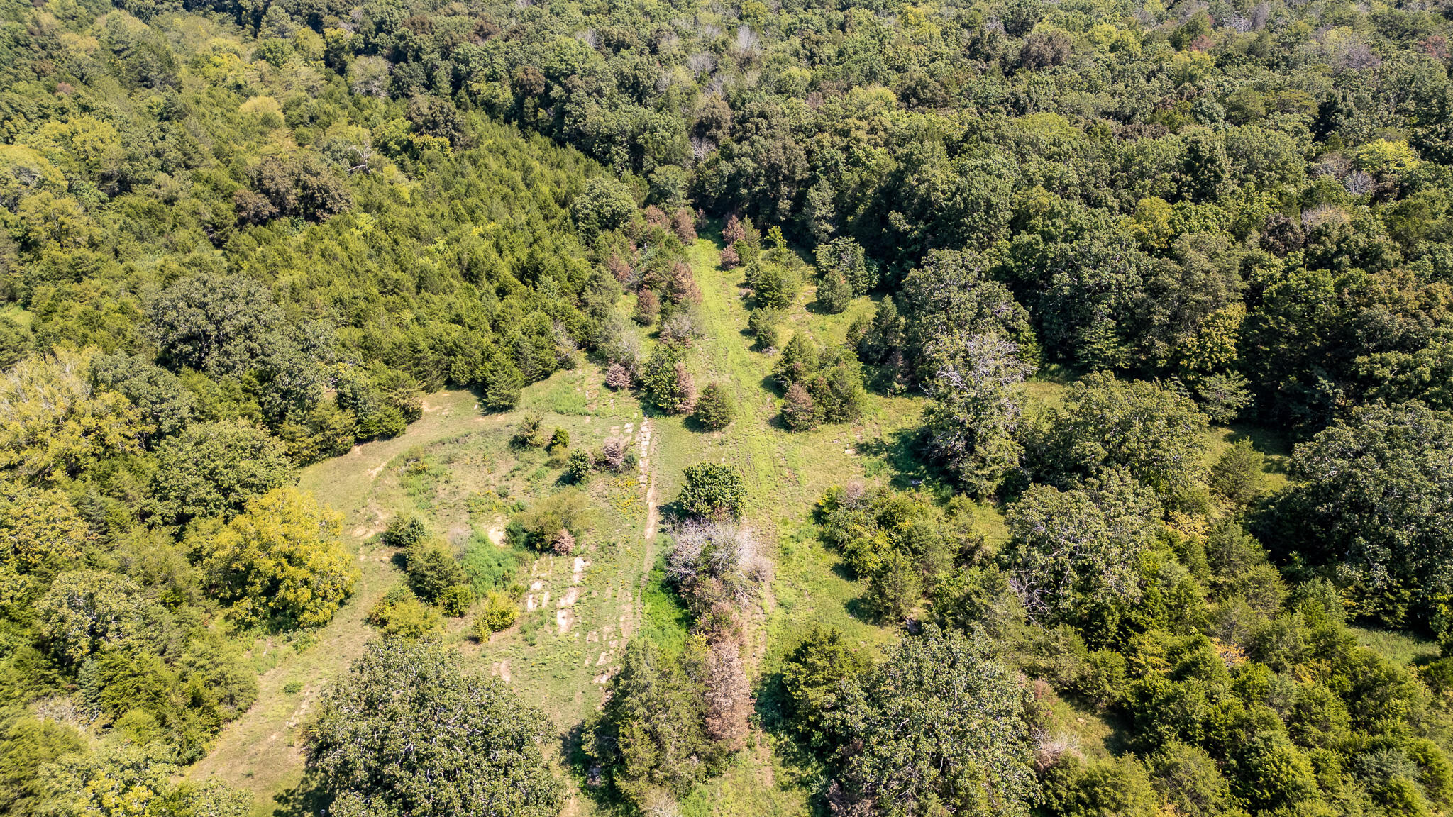 1970 Glass Mill Road Chickamauga, GA 30707 - Photo 44 of 79 DJI_0026-HDR