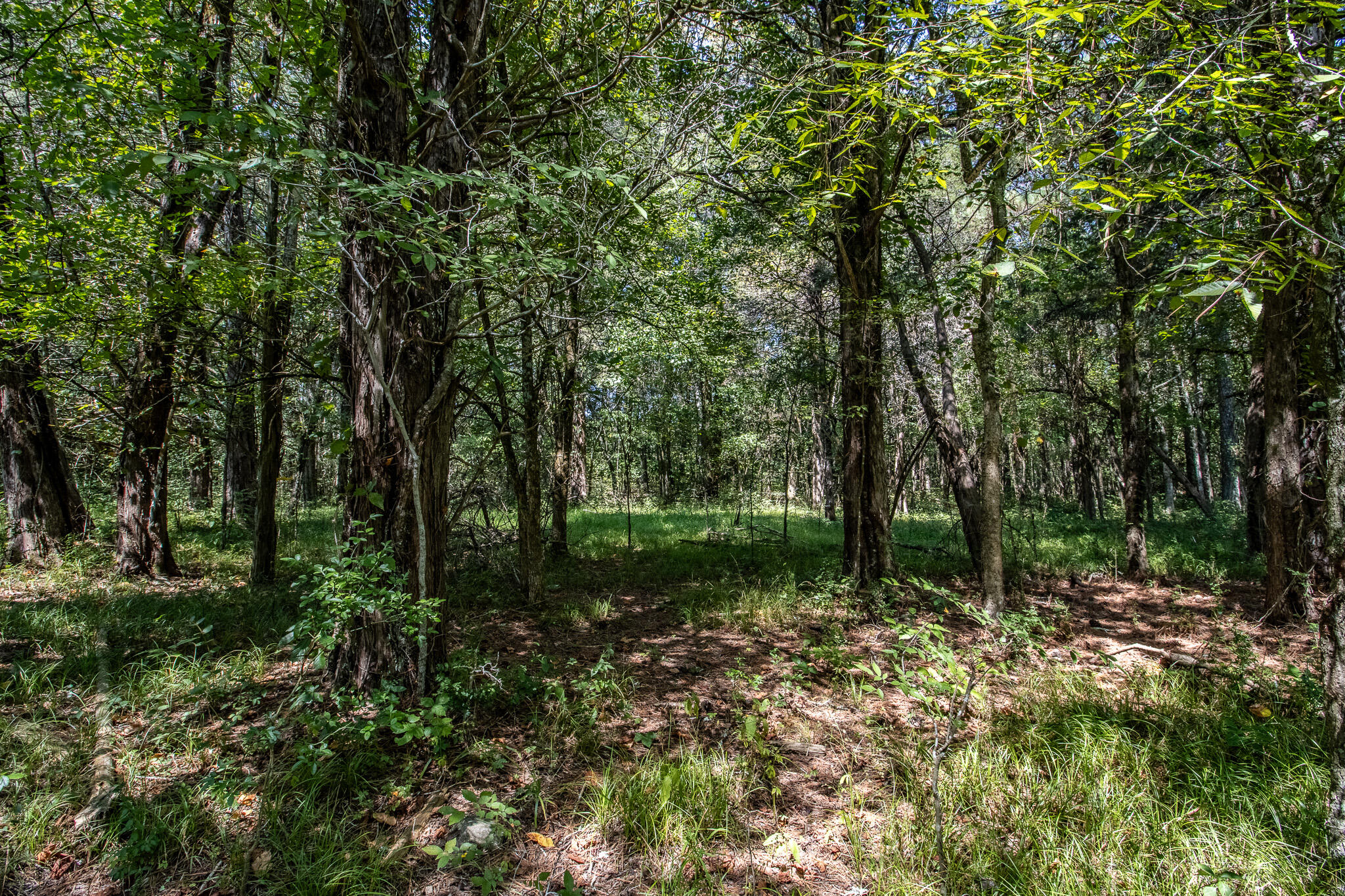 1970 Glass Mill Road Chickamauga, GA 30707 - Photo 72 of 79 IMG_0071-HDR