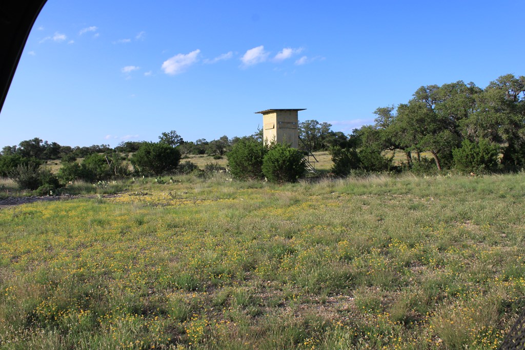 0 Other Junction Junction, TX 76849 - Photo 8 of 17
