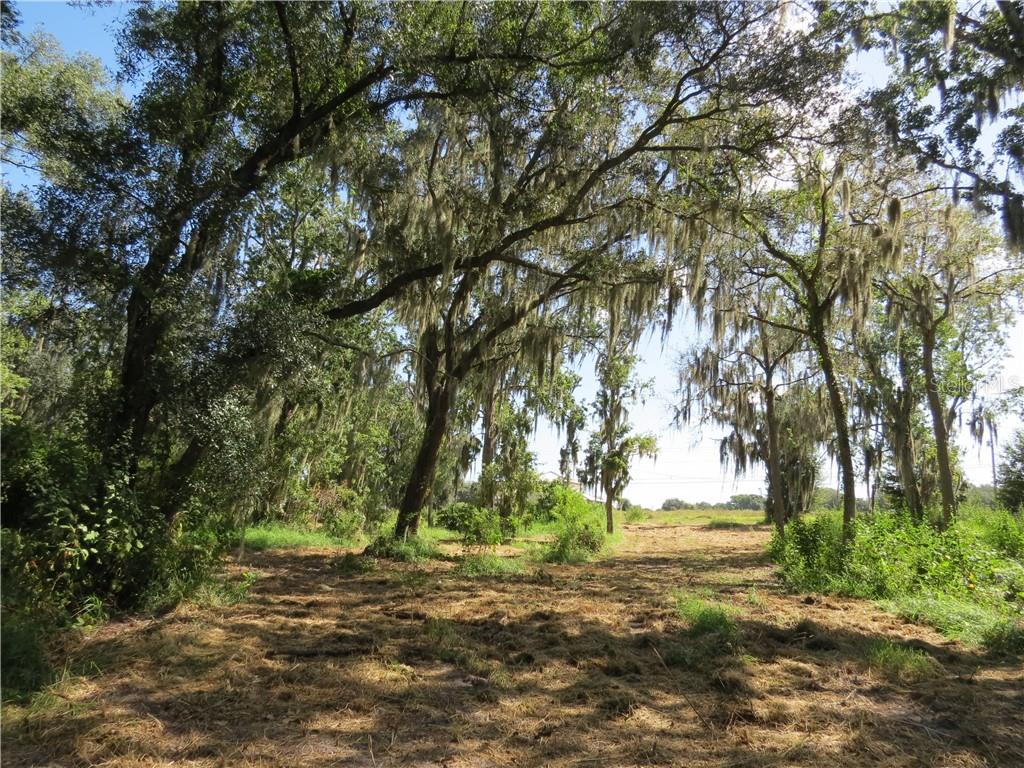 2505 Crestview Road Wimauma, FL 33598 - Photo 1 of 1 Gallery Image 1