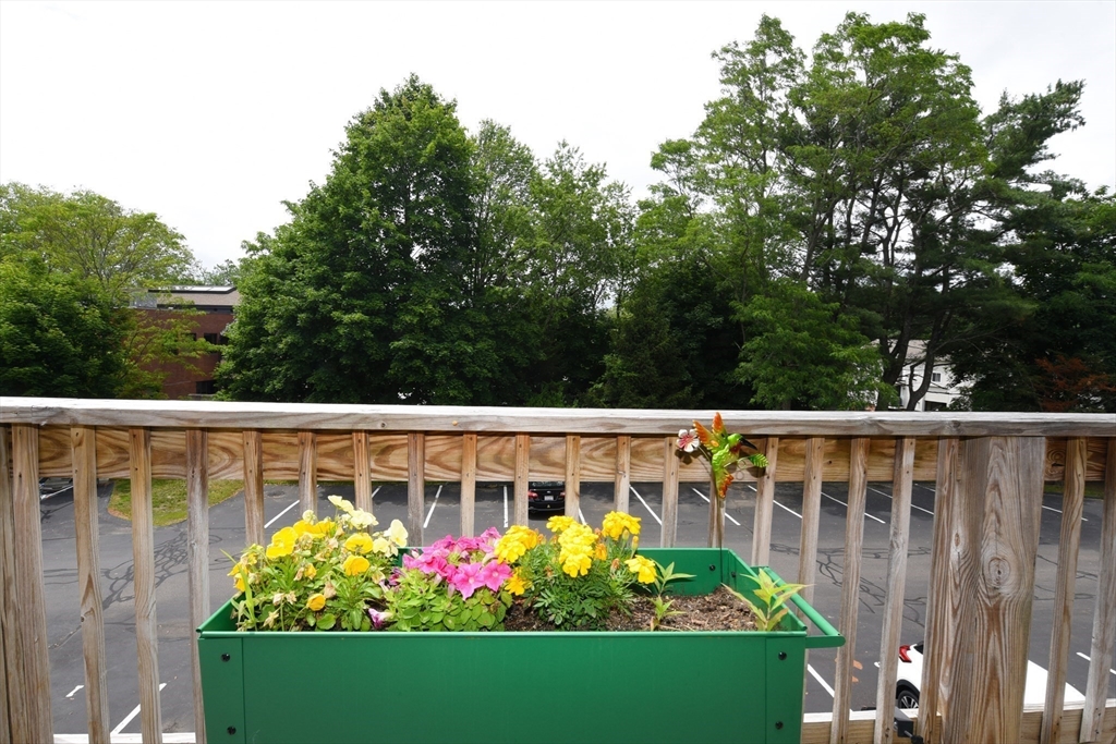 980 Plain Street, Unit 4 Marshfield, MA 02050 - Photo 25 of 26 a view of a garden with a flower garden