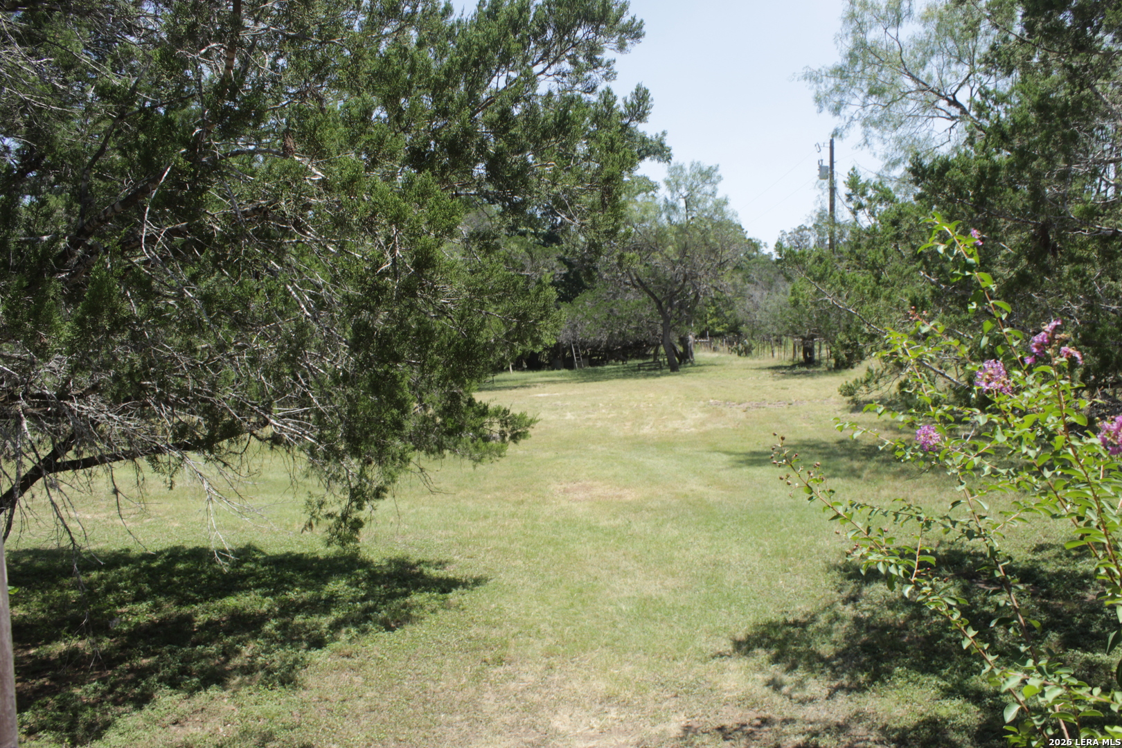 488 Rivertree Road Rio Frio, TX 78879 - Photo 25 of 28 Gallery Image 25