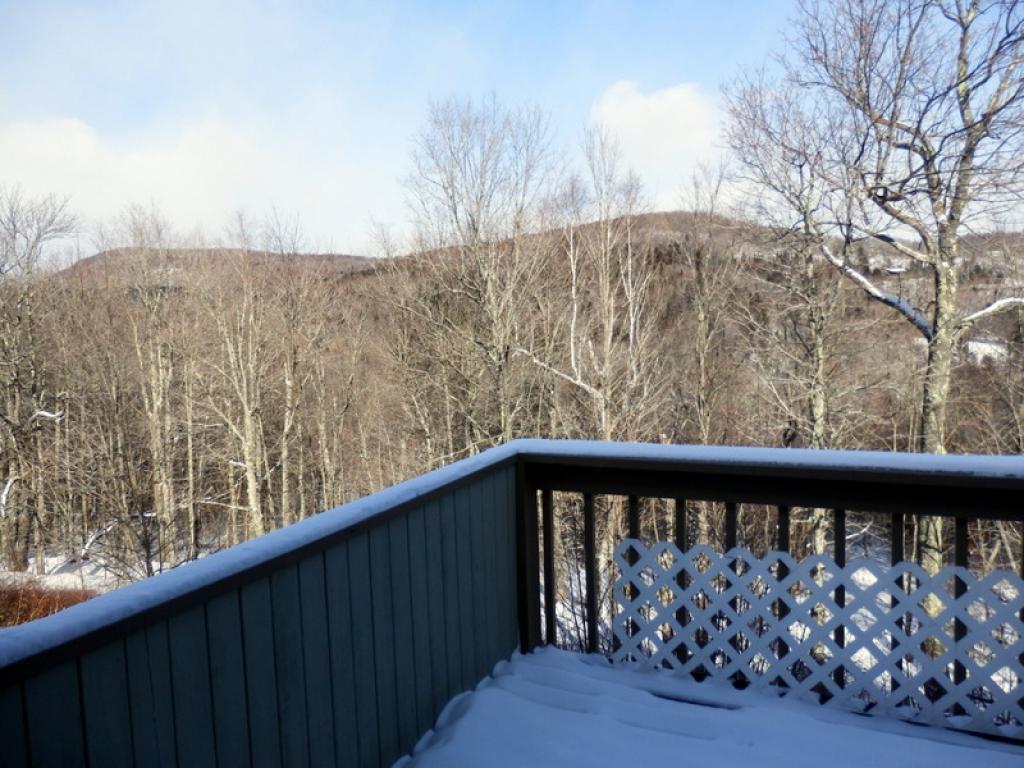 26 D Cross Town Road, Unit 26D West Dover, VT 05356 - Photo 17 of 20 Gallery Image 17