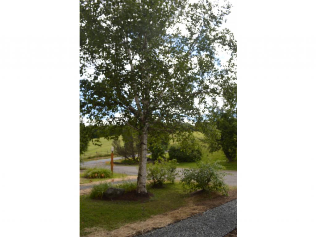 26 D Cross Town Road, Unit 26D West Dover, VT 05356 - Photo 20 of 20 Gallery Image 20