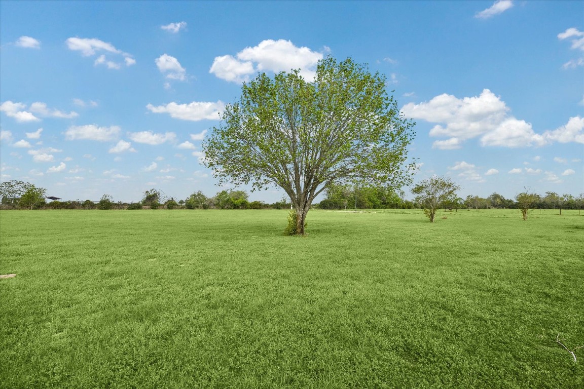 1021 Star Lane Cat Spring, TX 78933 - Photo 3 of 15 a view of yard with an trees