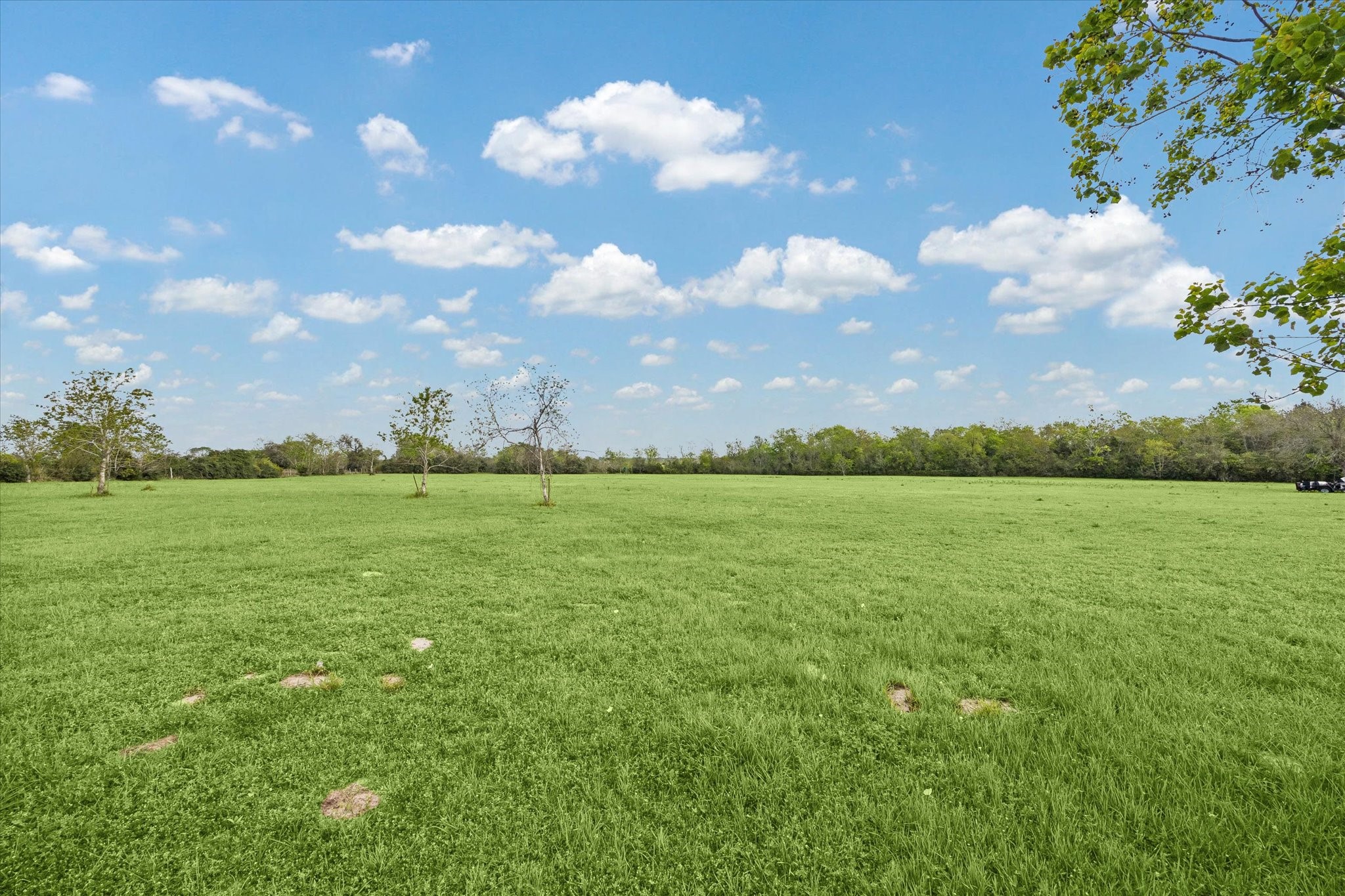 1021 Star Lane Cat Spring, TX 78933 - Photo 5 of 9 So much potential!