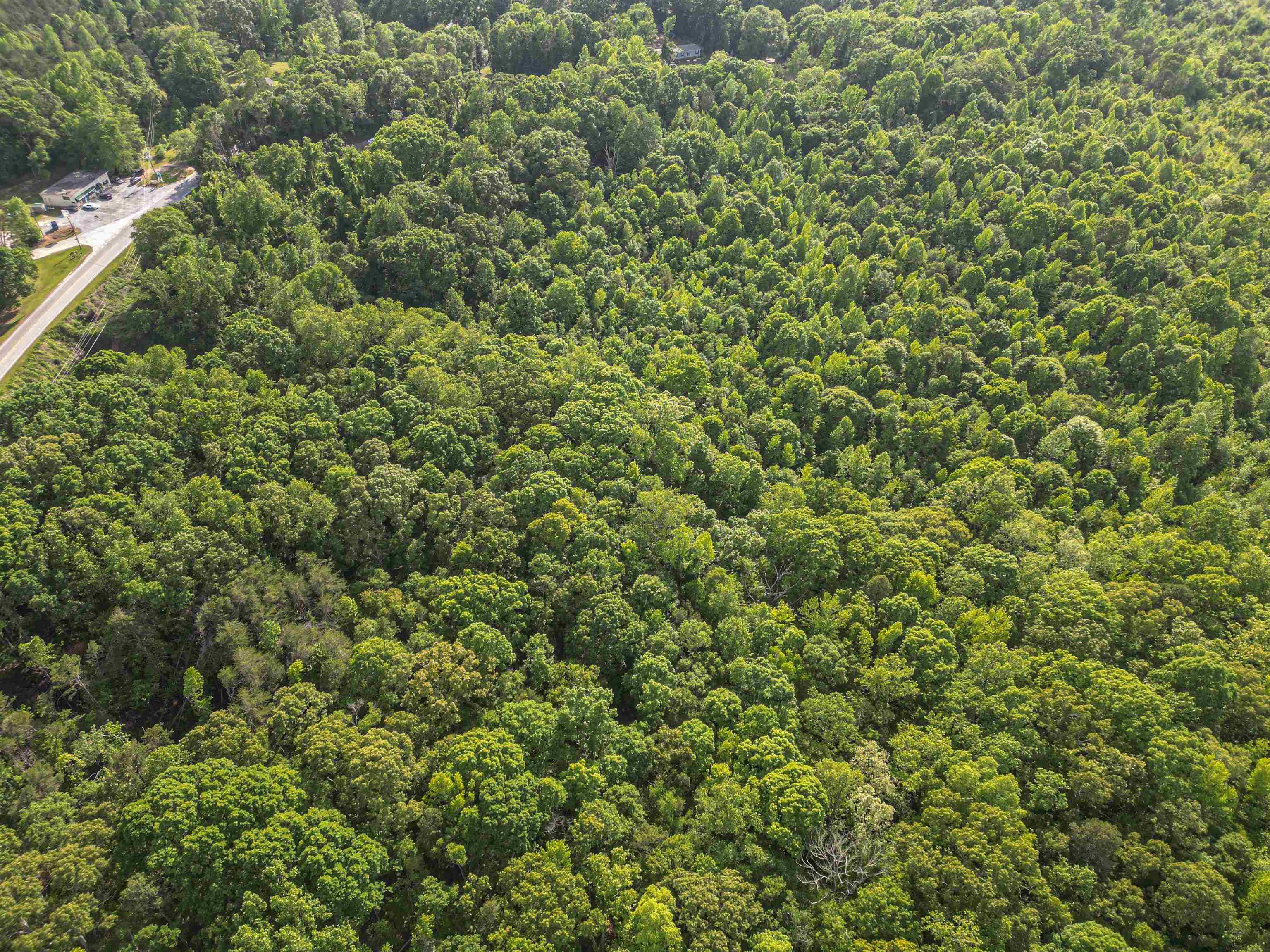 0 Ice House Road Enoree, SC 29335 - Photo 19 of 27