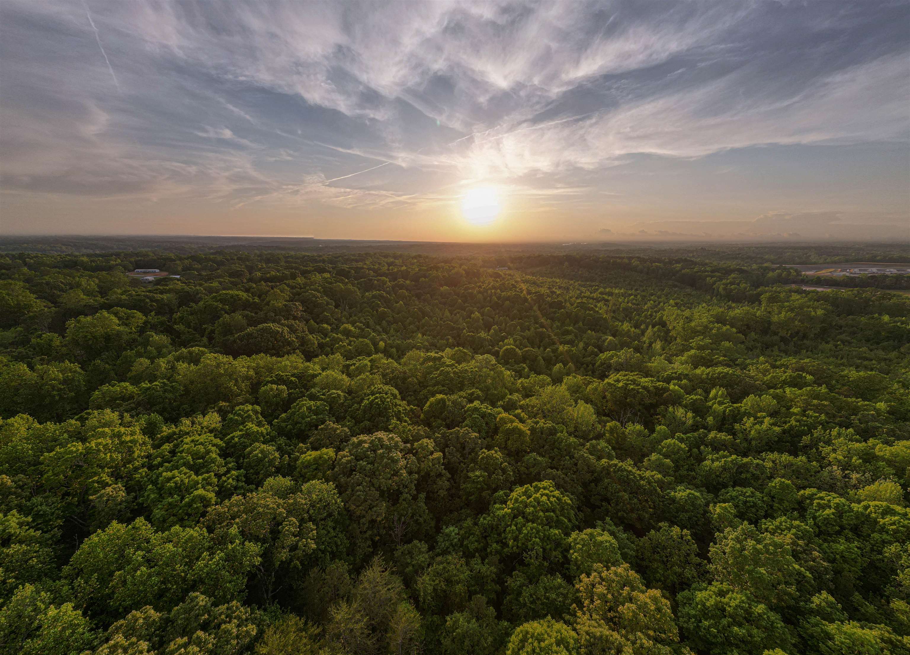 0 Ice House Road Enoree, SC 29335 - Photo 23 of 27