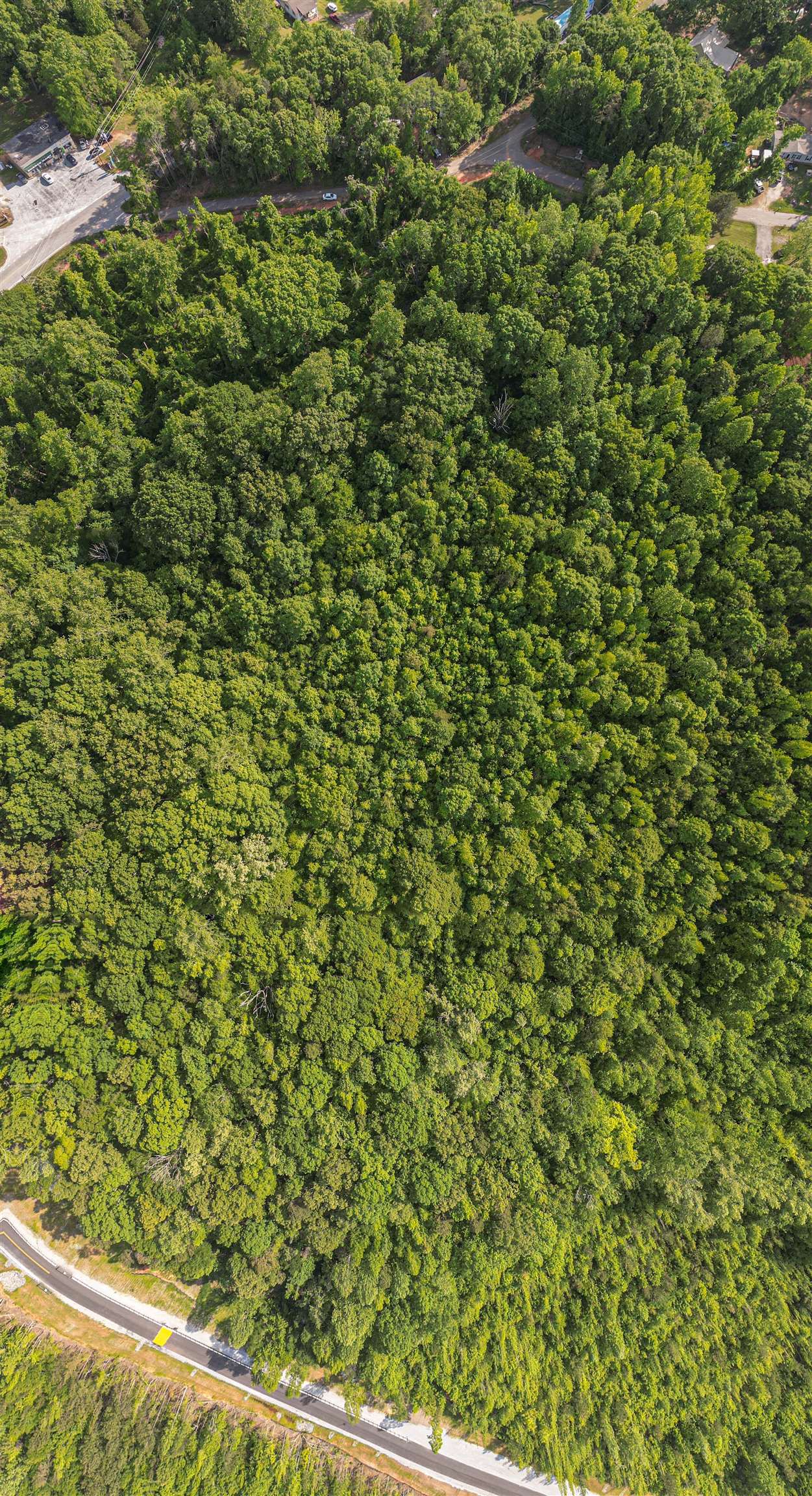 0 Ice House Road Enoree, SC 29335 - Photo 25 of 27